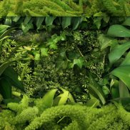 Timo Ullmann (*1987), Greenscreen, 2023<br>Video 4K auf 50'' Bildschirm, 12 min<br>© Timo Ullmann