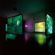 Ausstellungsansicht einer Videoinstallation mit verschiedenen Bildschirmen