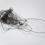 Entwickelt. Foto Wolfgang Selbach