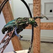 Cetonia Bicycle Aurata, 2025, christian Zengerle