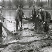 Vier Männer am Altrheinufer mit einem Fischernetz und Fischen im Hintergrund ein Boot