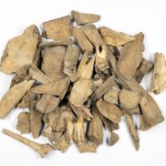 Tierknochen aus der Grabung Rötteln (Foto: Simon Trixl, LAD)