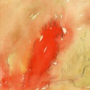 Aquarell 'Papagei' von Ablan Spitz, 1950er Jahre.  Sammlung DLM BKS 169