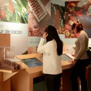 Musée Les Secrets du Chocolat