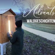 Adventsweg "Waldgeschichten" 2026