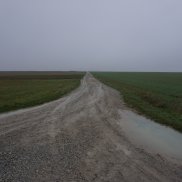 Sébastien Roux, Les Disparitions