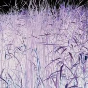 Ausstellungsansicht, Anna Barham: delirious mantra, Badischer Kunstverein, Karlsruhe 2026, Foto: Felix Grünschloß