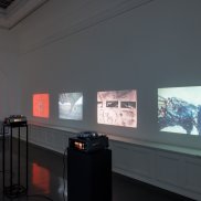 Ausstellungsansicht, Stefan Bertalan: I have lived with a sunflower for 130 days, Badischer Kunstverein 2025, Felix Grünschloß