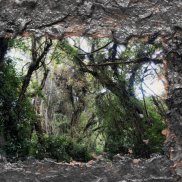 Die Sprache der Pflanzen, Experimentelles Rollenspiel (LARP) mit Roman Schramm