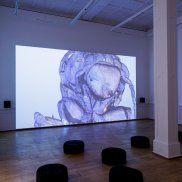 Ausstellungsansicht, Anna Barham: delirious mantra, Badischer Kunstverein, Karlsruhe 2026, Foto: Felix Grünschloß