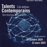 Affiche Territoires Mouvants 
