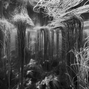 © Nicolas Floc’h, Paysages productifs - Initium Maris, île de Molène, - 4 mètres, 2019 I © ADAGP, Paris, 2026