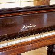 Foto Mark Niedermann