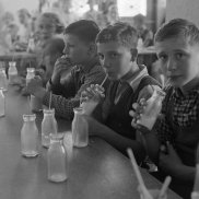 Schulkinder trinken Milch mit Strohhalmen aus Glasflaschen, 1938. Foto: Lothar Jeck, Staatsarchiv Basel-Stadt, BSL 1060c 3/10/47