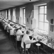 photographie Cristallerie Saint-Louis, début 20ème siècle 