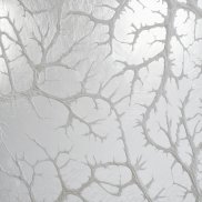 Léa Barbazanges, Omentum (détail),  2007-2026