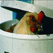 Videostill Pia Maria Martin