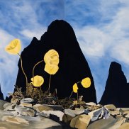 Anne Loch, ohne Titel (AL 235), 1987, Acryl auf Nessel, 280 × 370 cm (2-teilig), Nachlass Anne Loch  © Nachlass Anne Loch, Bern