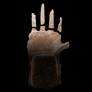 Prêles bronze hand, © Archaeological Service of Canton Bern, Philippe Joner Prêles bronze hand, © Archaeological Service of Canton Bern, Philippe Joner