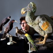 Vogelforscher Manuel Schweizer NMBE/Schäublin Vogelforscher Manuel Schweizer NMBE/Schäublin