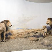 LoewenDiorama2