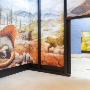 Ausstellungsansicht