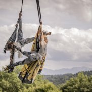 Zwei Personen tanzen an einem Baum und hängen sich elegant und akrobatisch an Tüchern fest.