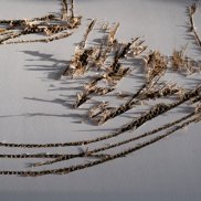 Max Hari Spurensuche 1, 2023 Wabenkartonpalette weiss, bearbeitet mit der Elektrosäge Max Hari Spurensuche 1, 2023 Wabenkartonpalette weiss, bearbeitet mit der Elektrosäge