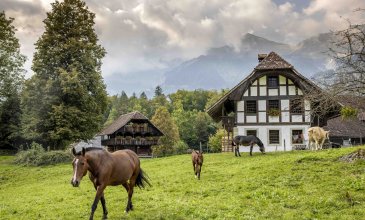 109 bâtiments historiques originaires de toutes les régions de Suisse, 200 animaux de ferme et des artisanats anciens: le Ballenberg vous invite à découvrir les nombreuses facettes de la Suisse. 