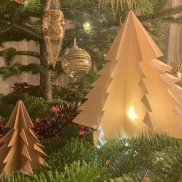 Atelier de Noël : Créez votre forêt de sapins en origami (Adulte)