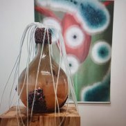 Anna Dumitriu & Alex May, Fermenting Futures, 2021/24 Foto: Natalia Marin