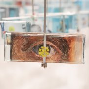 atelierJAK, indescribable scenes (Ausschnitt, 2025)