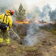 Klima Forum: Waldbrand in Deutschland? Wie real ist die Gefahr? Klima Forum: Waldbrand in Deutschland? Wie real ist die Gefahr?