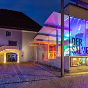 Der Salmen bei Nacht © Braxart