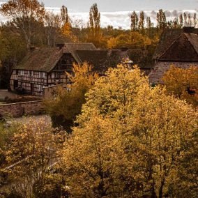 Les maisons à colombages de l'Écomusée d'Alsace entourées d'arbres feuillus aux couleurs automnales dans des tons jaunes et orangés.