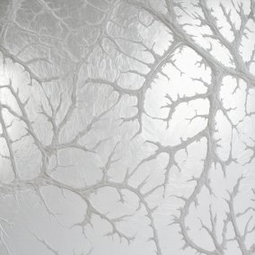 Léa Barbazanges, Omentum (detail), 2007-2026