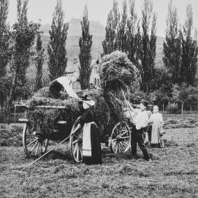 Hay Harvest