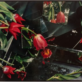 Ketuta Alexi-Meskhishvili, Tulip Season for Henri, 2024, tirage analogique C, 32 × 41.4 cm