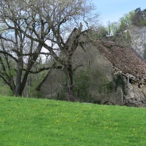Museum bar: Field barns. Why they were built in the Basel region