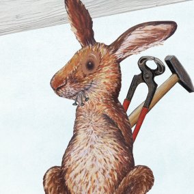 Gwunderhaas Museum.BL & KBL_Illustration, Kathrin Schärer