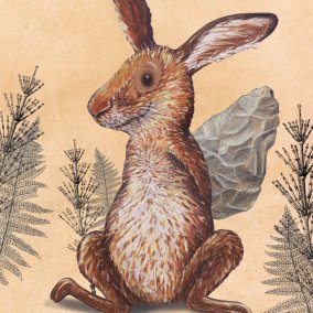 Gwunderhaas Museum.BL & KBL_Illustration, Kathrin Schärer