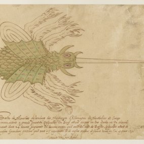 Jean Rabel, Sorte de mouches descendues des montagnes de l'Allemagne (Ausschnitt), 16. Jahrhundert, Signatur: RESERVE ED-10 (A)-FOL © Bibliothèque nationale de France