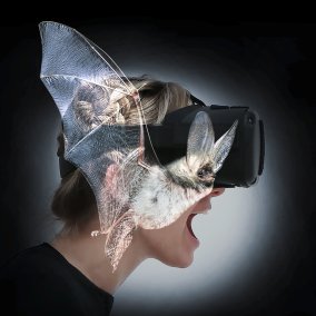 z.Vg. BATVISION