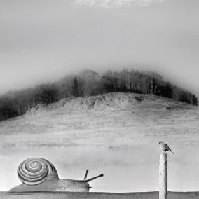 Schiibefelse (C) Bjarne Geiges