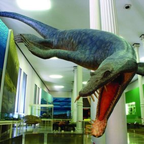 Staatliches Museum für Naturkunde Karlsruhe