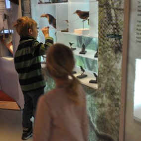 Exotische Vögel. Sammlungen Archäologie und Museum Baselland. Foto © Museum.BL