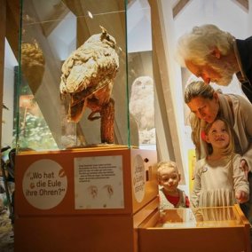 © All rights reserved Museum im Ritterhaus