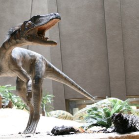 © Alle Rechte vorbehalten Staatliches Museum für Naturkunde Stuttgart