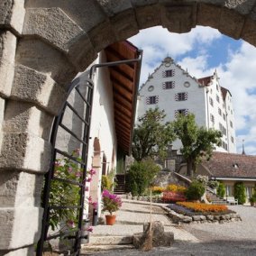 Wildegg Castle, Museum Aargau