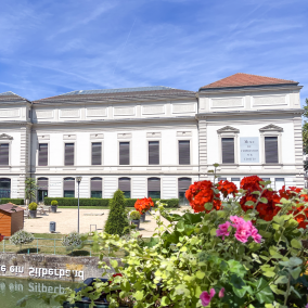 Musée de l'Impression sur Etoffes